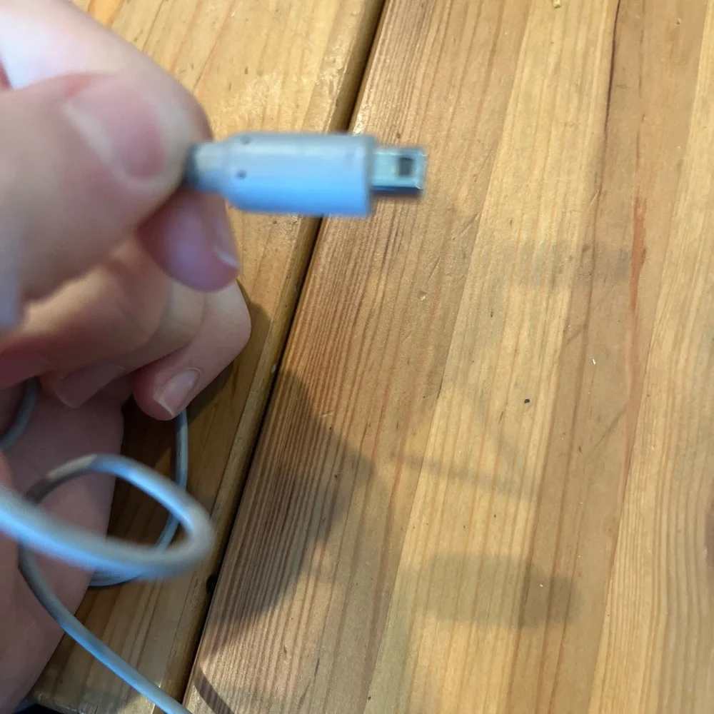 Nintendo 3DS charger